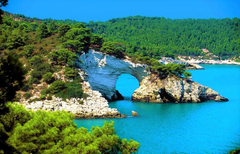 Hotel Borgo Marina Rodi Garganico Dış mekan fotoğraf